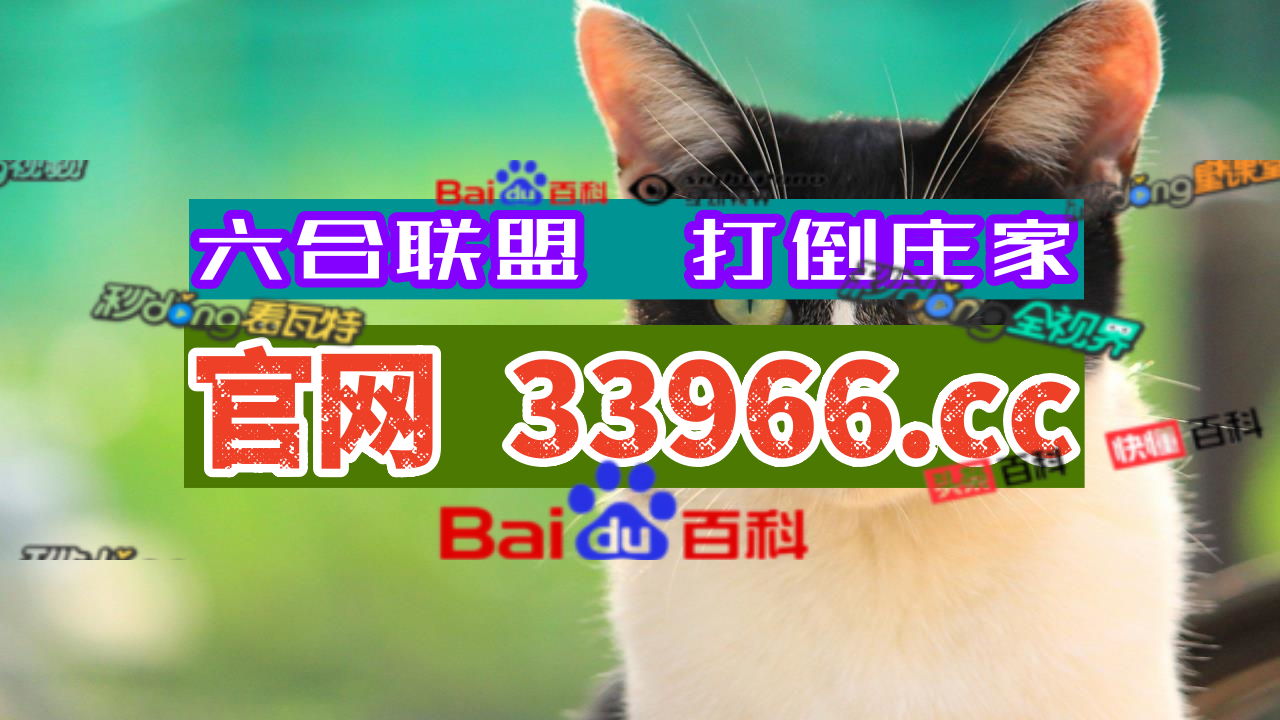 完美解说32024澳门资料大全免费正版资料澳门