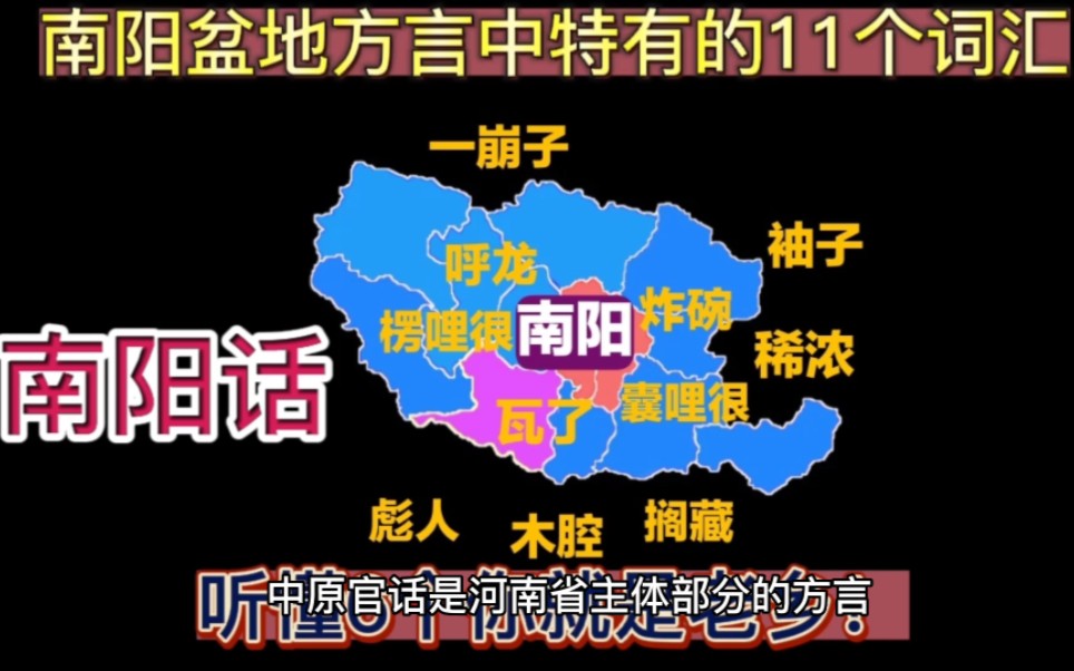 南阳盆地方言中特有的11个词汇,听懂6个你就是老乡!哔哩哔哩bilibili