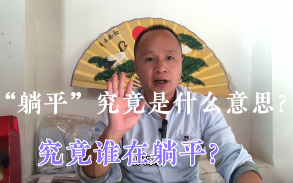 “躺平”究竟是什么意思?究竟谁在躺平?哔哩哔哩bilibili