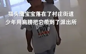 下载视频: 雨天过后猫头鹰宝宝落在了村庄街道，少年用肩膀把它带到了派出所。