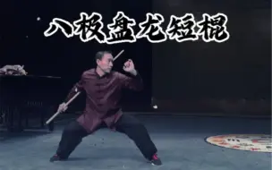 Tải video: 八极盘龙短棍