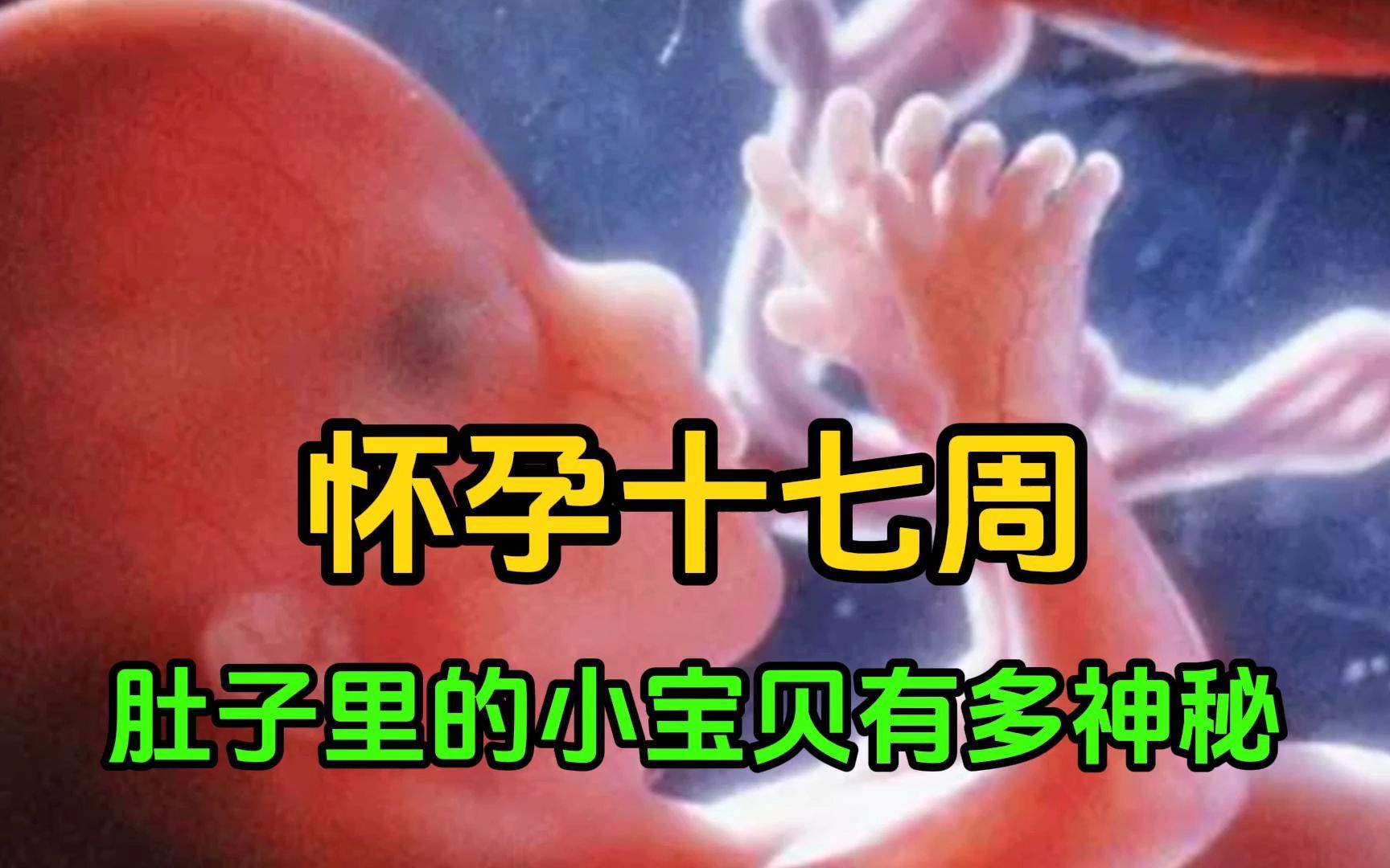 [图]怀孕十七周，肚子里的小宝贝有多神秘？一探究竟，超乎你的想象！