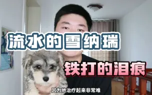 Tải video: 雪纳瑞的泪痕问题