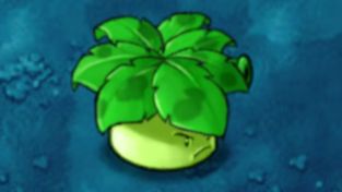 融合植物559：保护伞大喷菇！