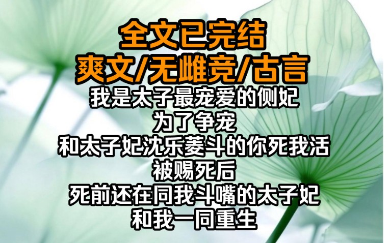 ...为了争宠和太子妃沈乐菱斗的你死我活,被赐死后,死前还在同我斗嘴的太子妃和我一同重生.重回十年前的东宫,我们在太子的后院中面面相觑哔哩哔...