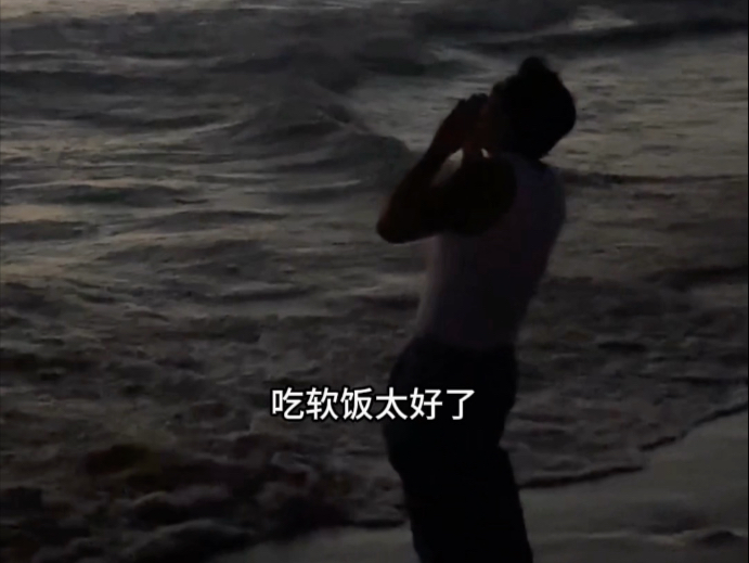 软饭男的第二春