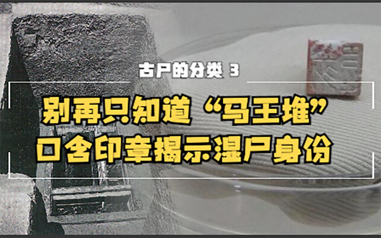 古尸的分类3 “湿尸” 除了马王堆,还有凤凰山!哔哩哔哩bilibili