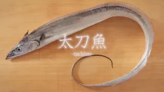 日本刺身料理 車海老 くるまえび のさばき方 哔哩哔哩 Bilibili