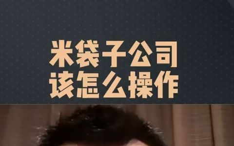 米袋子公司该怎么操作哔哩哔哩bilibili