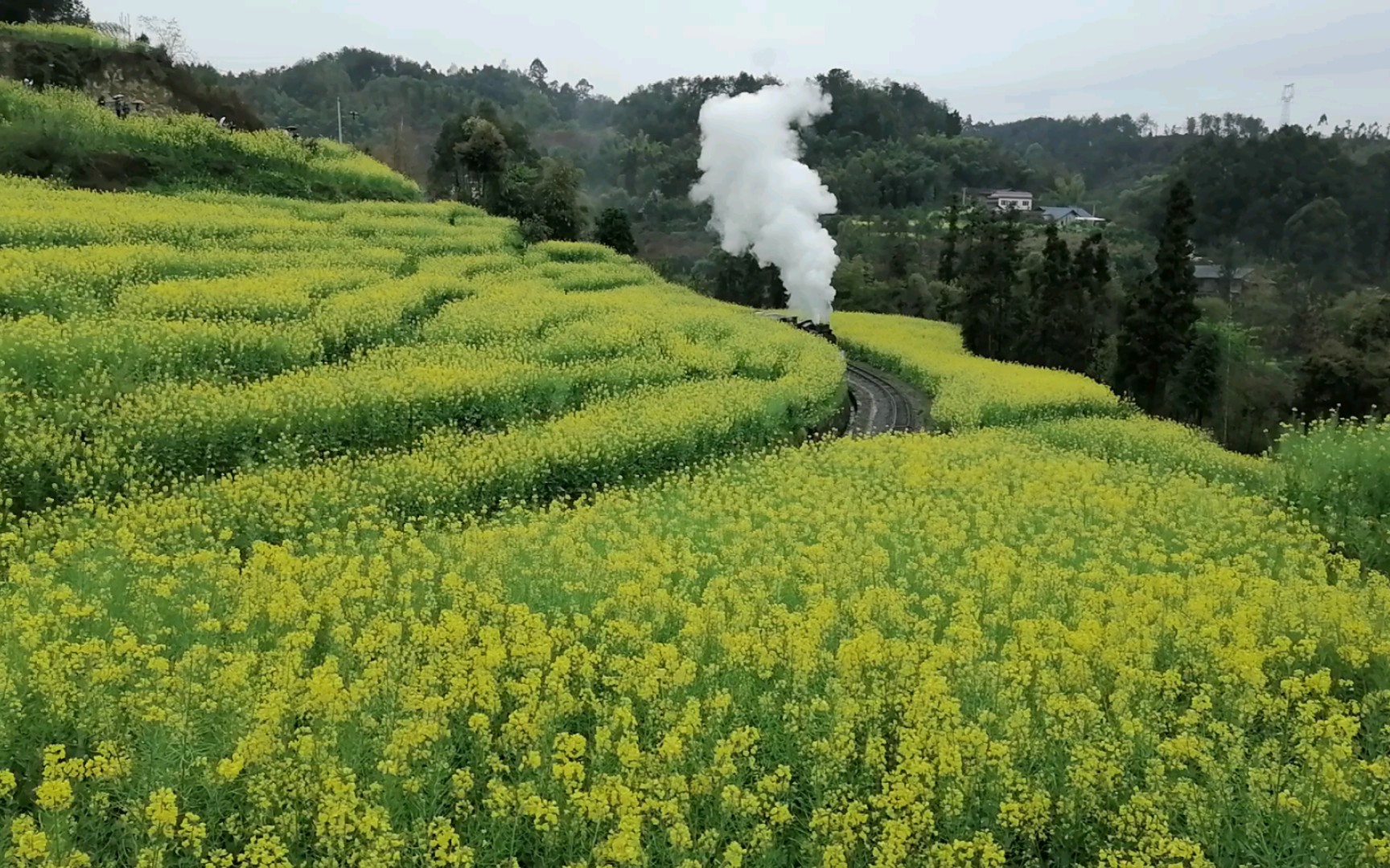 乐山嘉阳小火车随拍