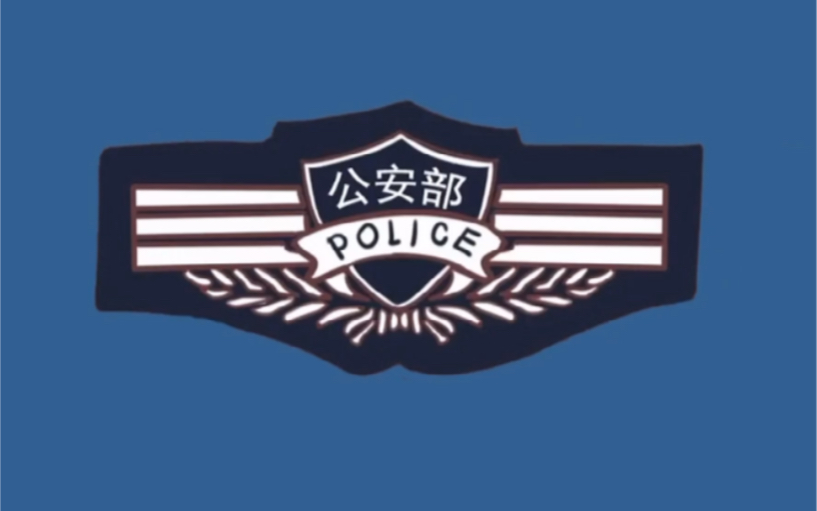 中国警察胸徽区分