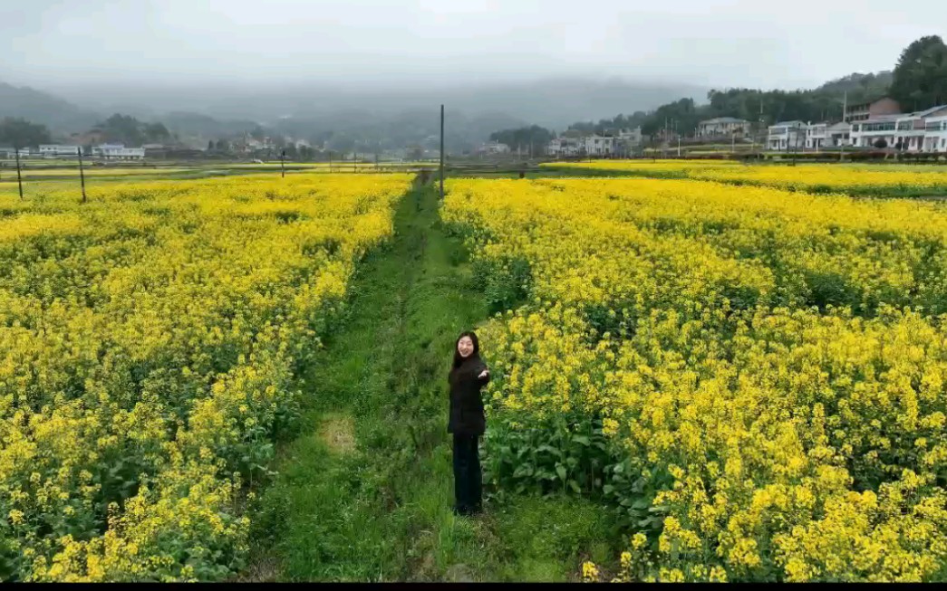 [图]VLOG｜记录一次油菜花开的季节，美景就在身边。