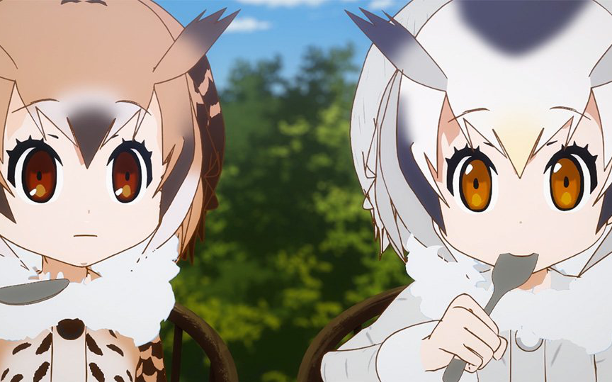 关于猫头鹰的一些真相