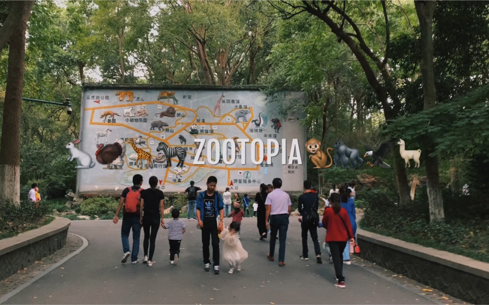 [图]ZOOTOPIA：在动物园散步才是正经事