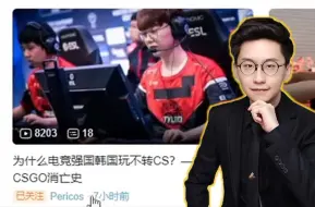 Download Video: 玩机器看韩国CSGO消亡史，感慨当时压力很大，markeloff都被压力坏了！