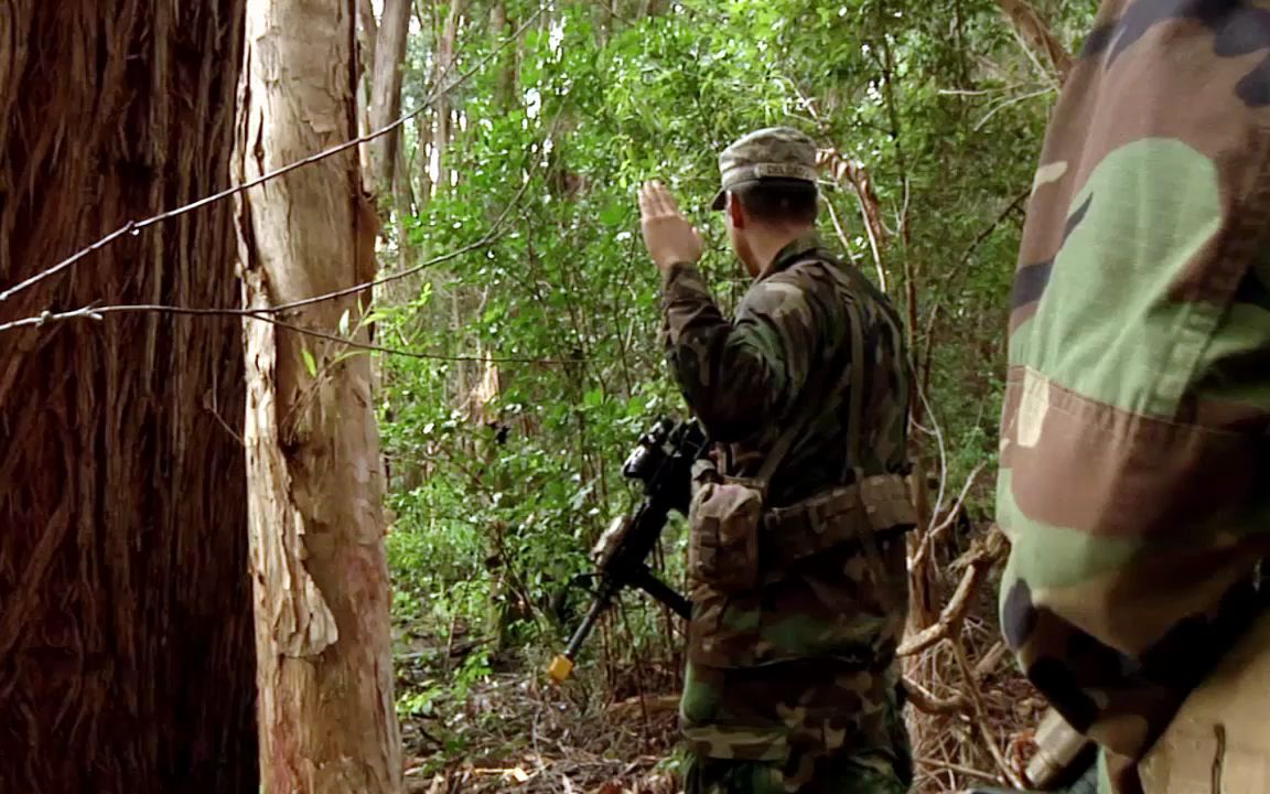 2014年,夏威夷美军身穿四丛迷彩进行丛林训练