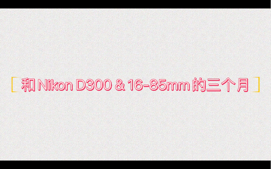 【尼康D300】普通人拿起相机的一百天哔哩哔哩bilibili