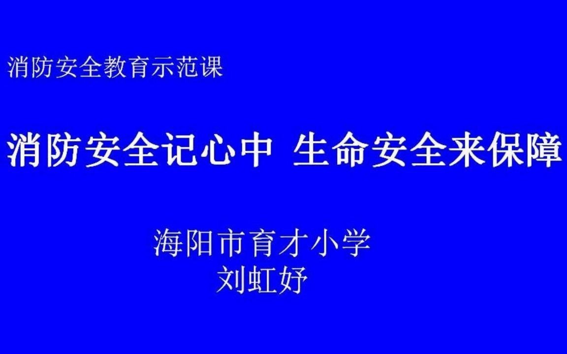 [图]山东省海阳市育才小学 刘虹妤  《消防安全记心中，生命安全来保障》