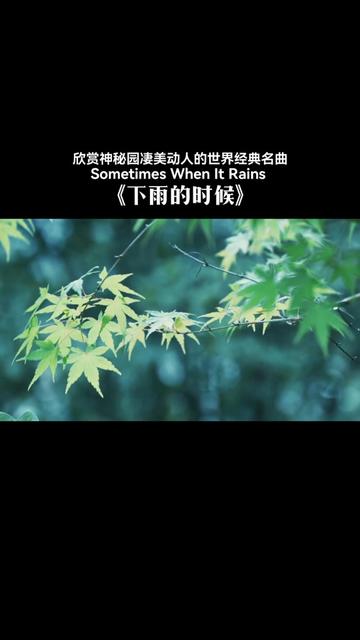 神秘园乐队最经典的曲目Sometimes When It Rains 《下雨的时候》,凄美伤感,动人心弦,旋律优美且空灵动听,是为世人所喜爱的纯音乐,欣赏和聆听...