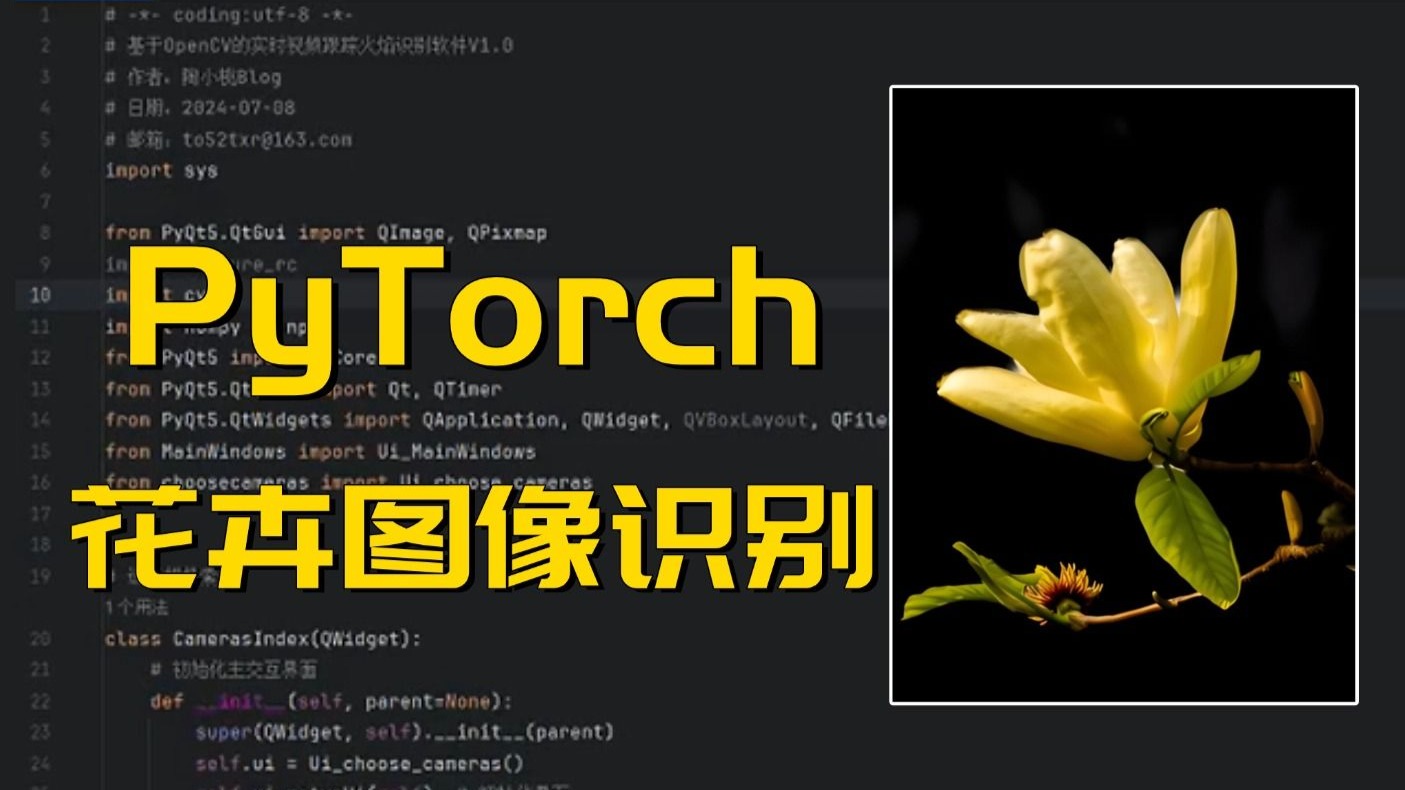 【人工智能】基于pytorch实现花卉图像识别,小白也能上手的深度学习