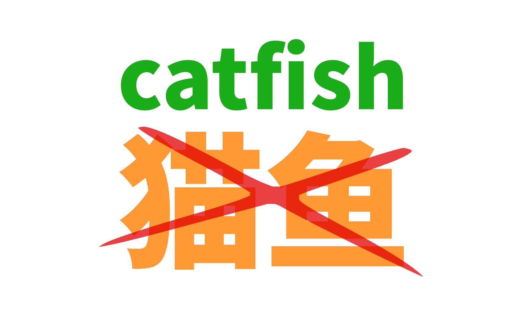 catfish可不是