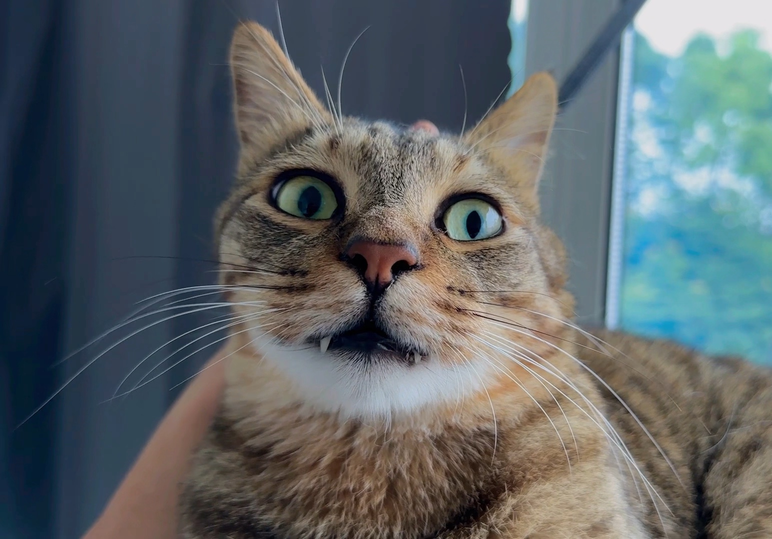 搬家在即 和原住民做好思想工作