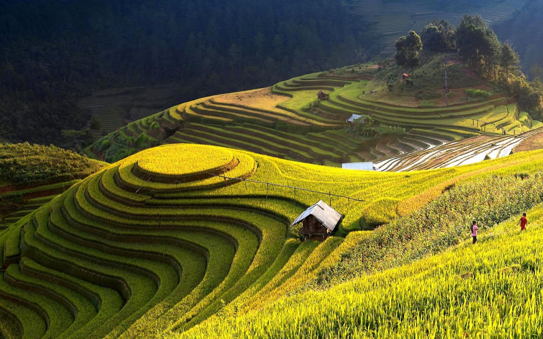 [图]山地水土保持