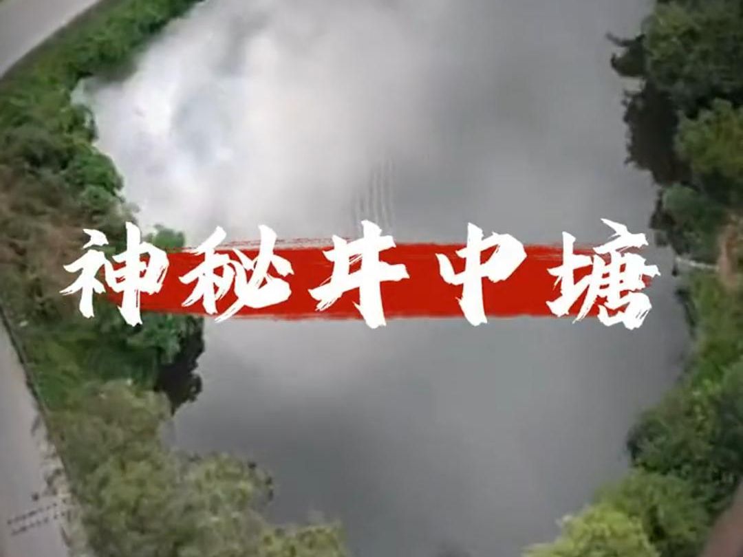 [图]表哥花3000盘下一口井中塘，井底到底会有什么？