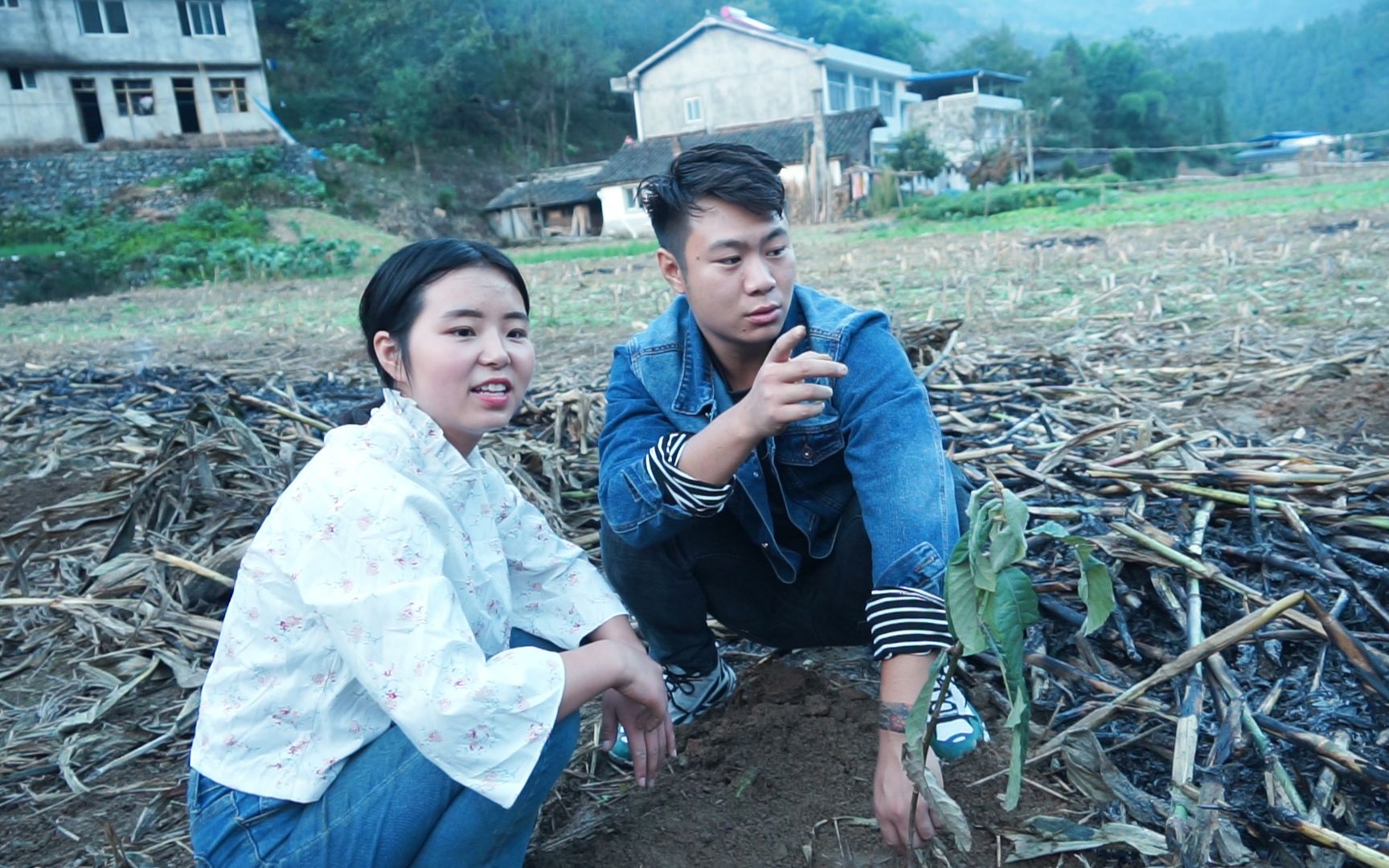 三石和小八去年种的20多棵果树,成活率非常高,现在坐等吃水果了