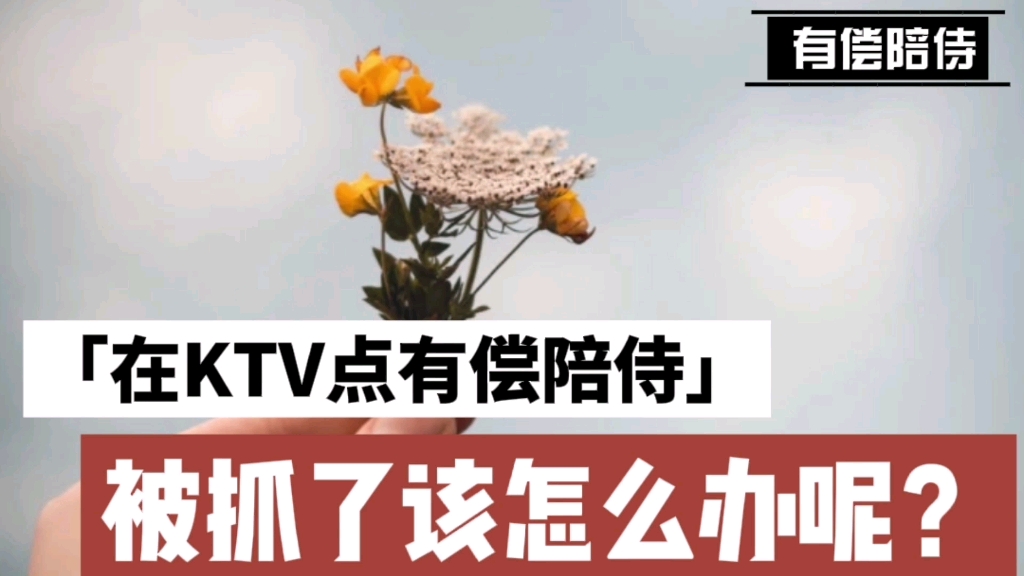 在KTV点有偿陪侍,被抓了该怎么办?哔哩哔哩bilibili