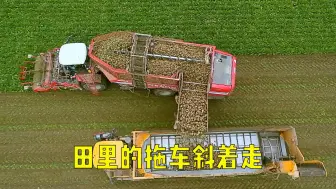 Download Video: 收获季节承包商们每天工作15小时，喂羊，喂牛的都是实习生！