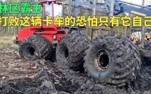 Скачать видео: 打败这辆卡车的恐怕只有它自己，没有道路能阻挡它行驶的脚步