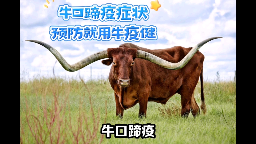 牛口蹄疫症状,预防措施