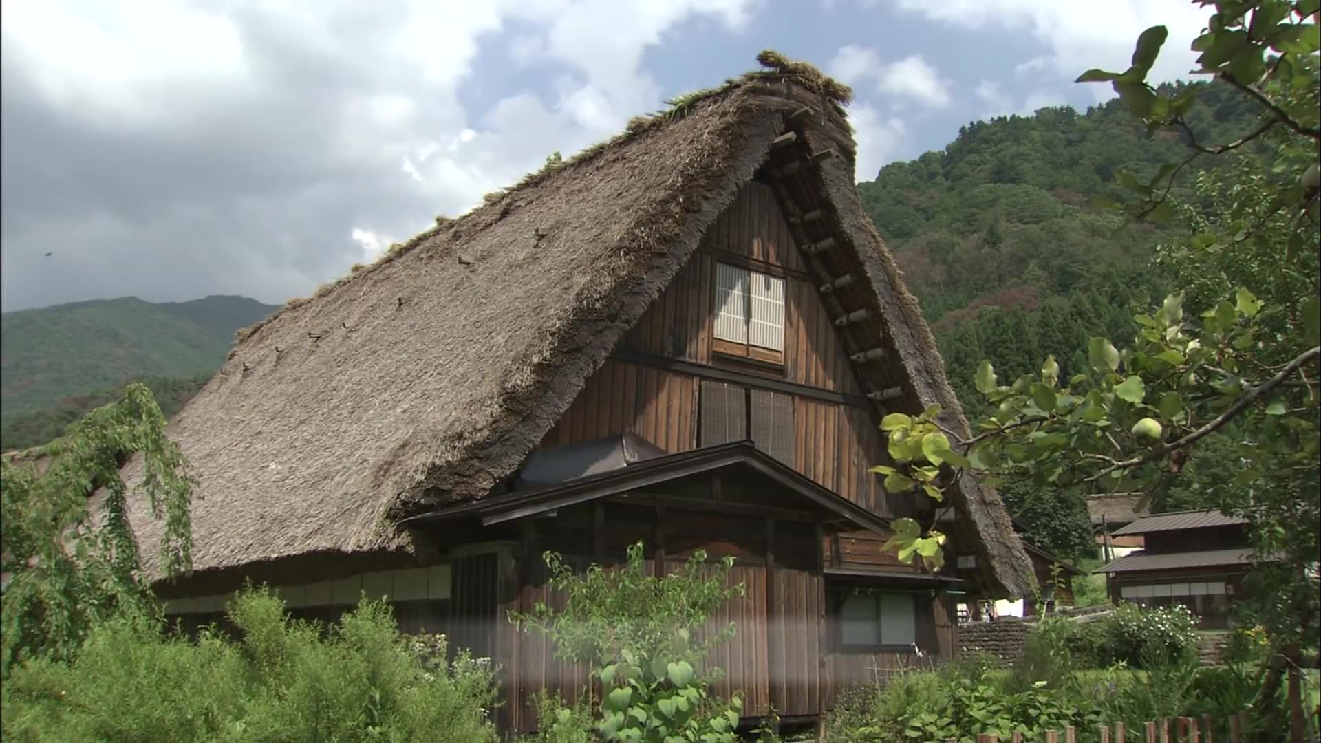 日本茅草屋安装修复职业人茅葺职人田中栄作