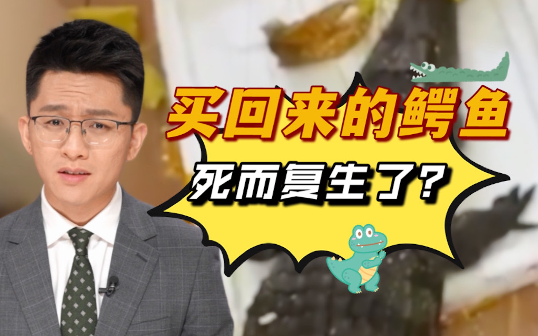 买回来的鳄鱼 死而复生了?哔哩哔哩bilibili