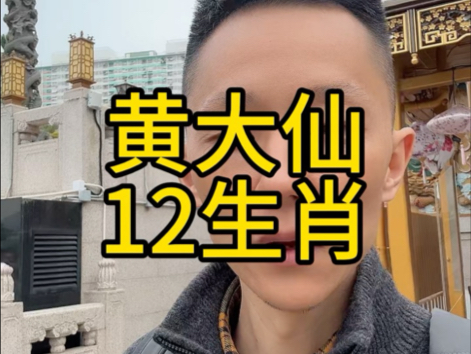 黄大仙12生肖打卡!哔哩哔哩bilibili