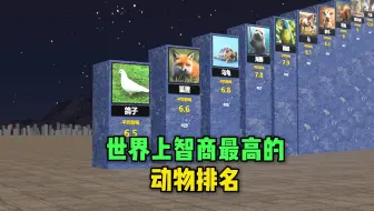 世界上智商最高的动物排名