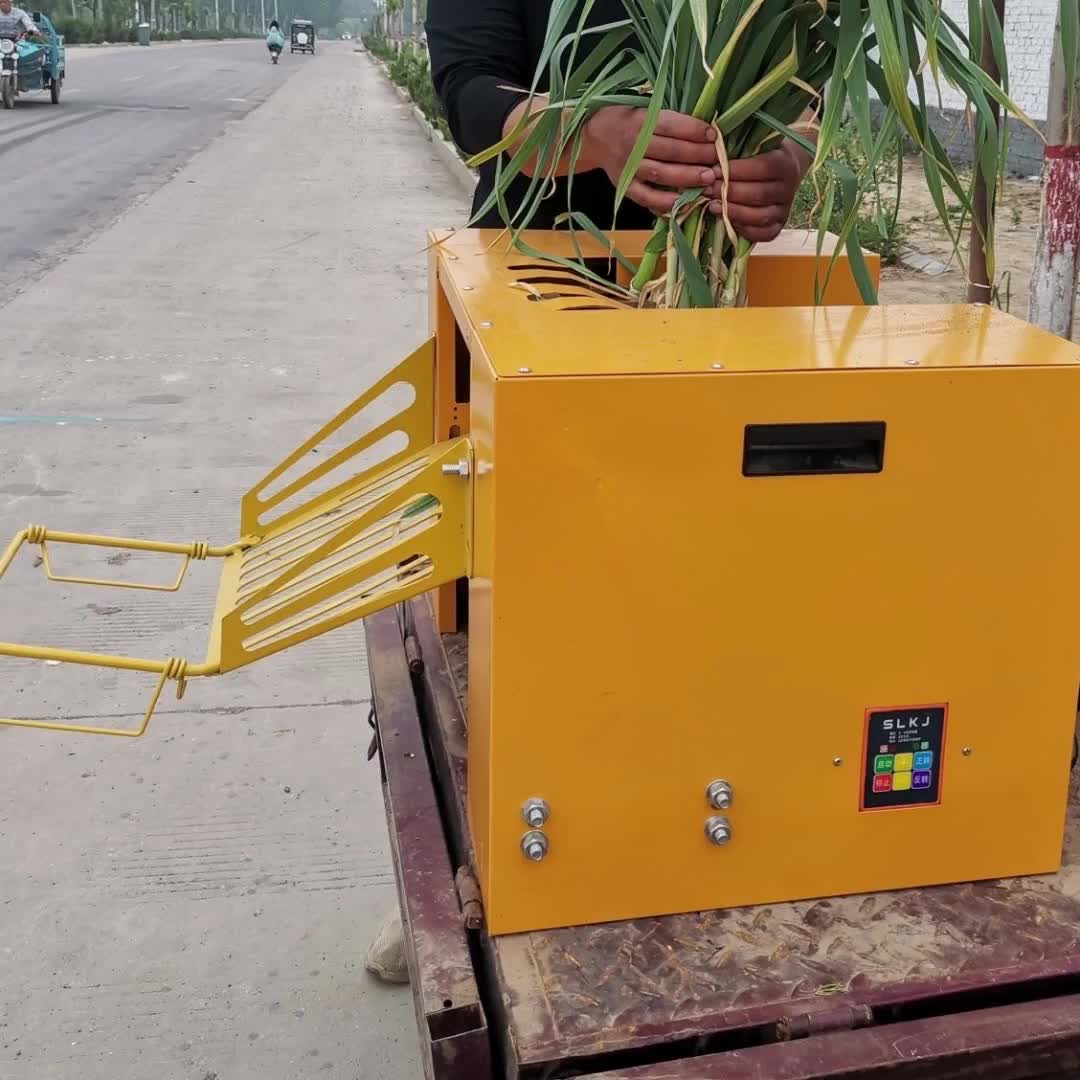 【51元券】电动剪蒜机电剪刀剪杆机绞蒜剪专用剪蒜根大蒜收获机农用去