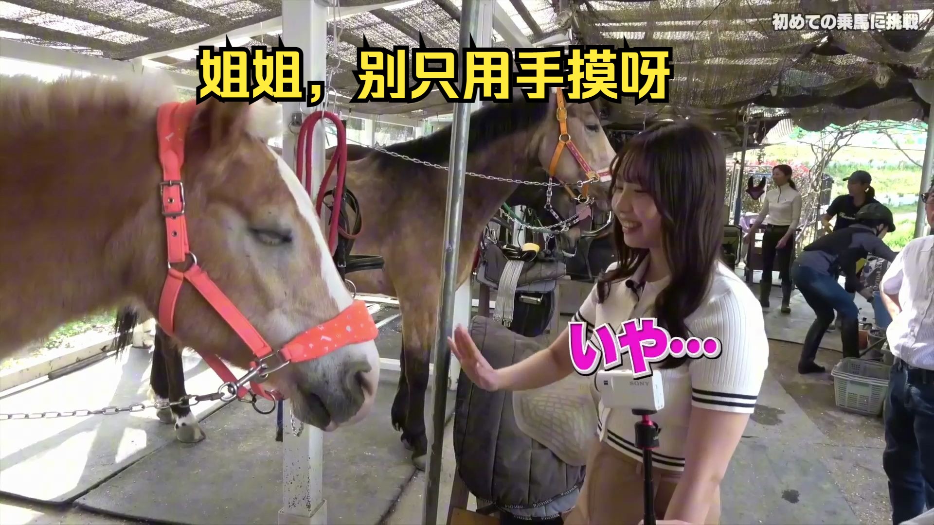 和清原美优小姐姐一起体验骑马游乐园【中字】
