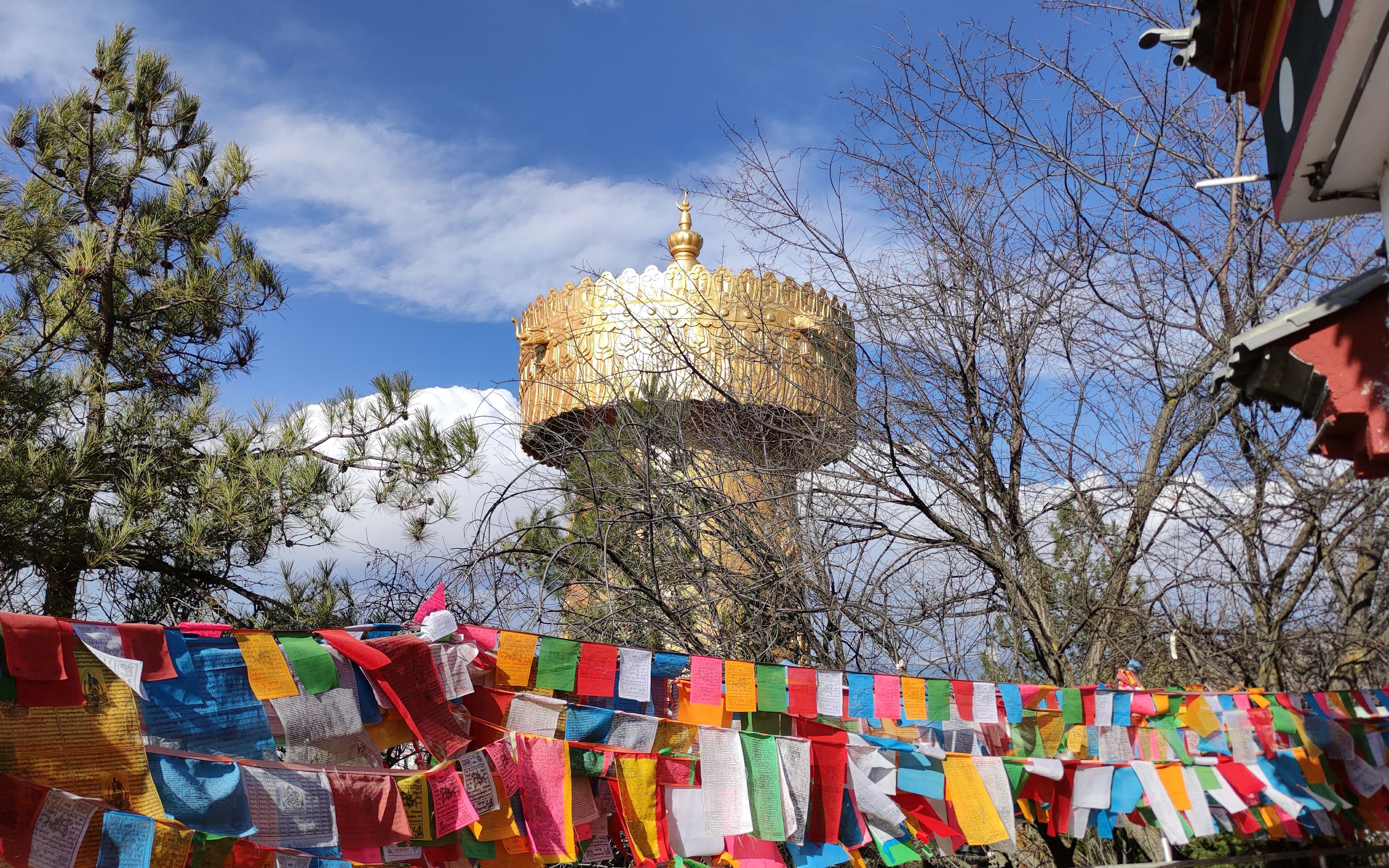 03.03[香格里拉]大转经筒