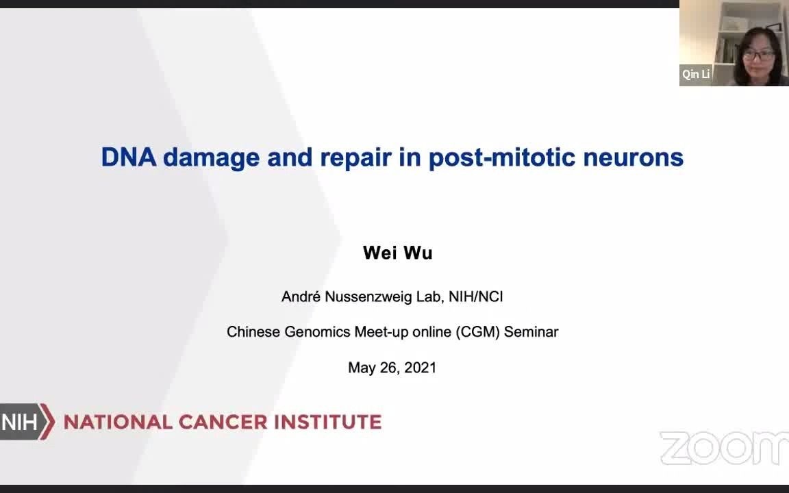 [图]CGM 第 一百五十八 期 吴薇博士 有丝分裂后神经细胞内的 DNA 损伤和修复