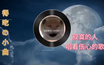 鼠鼠们一起分享出货瞬间。《得吃の小曲》《寂寞的人唱着伤心的歌》