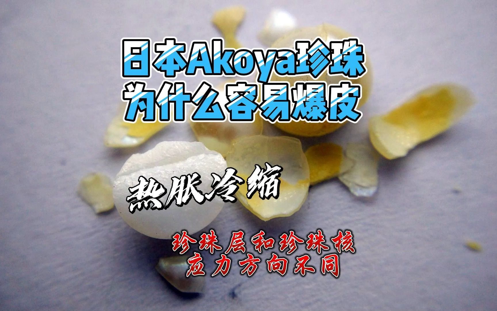 珍珠常识概述日本Akoya珍珠为什么会爆皮哔哩哔哩bilibili