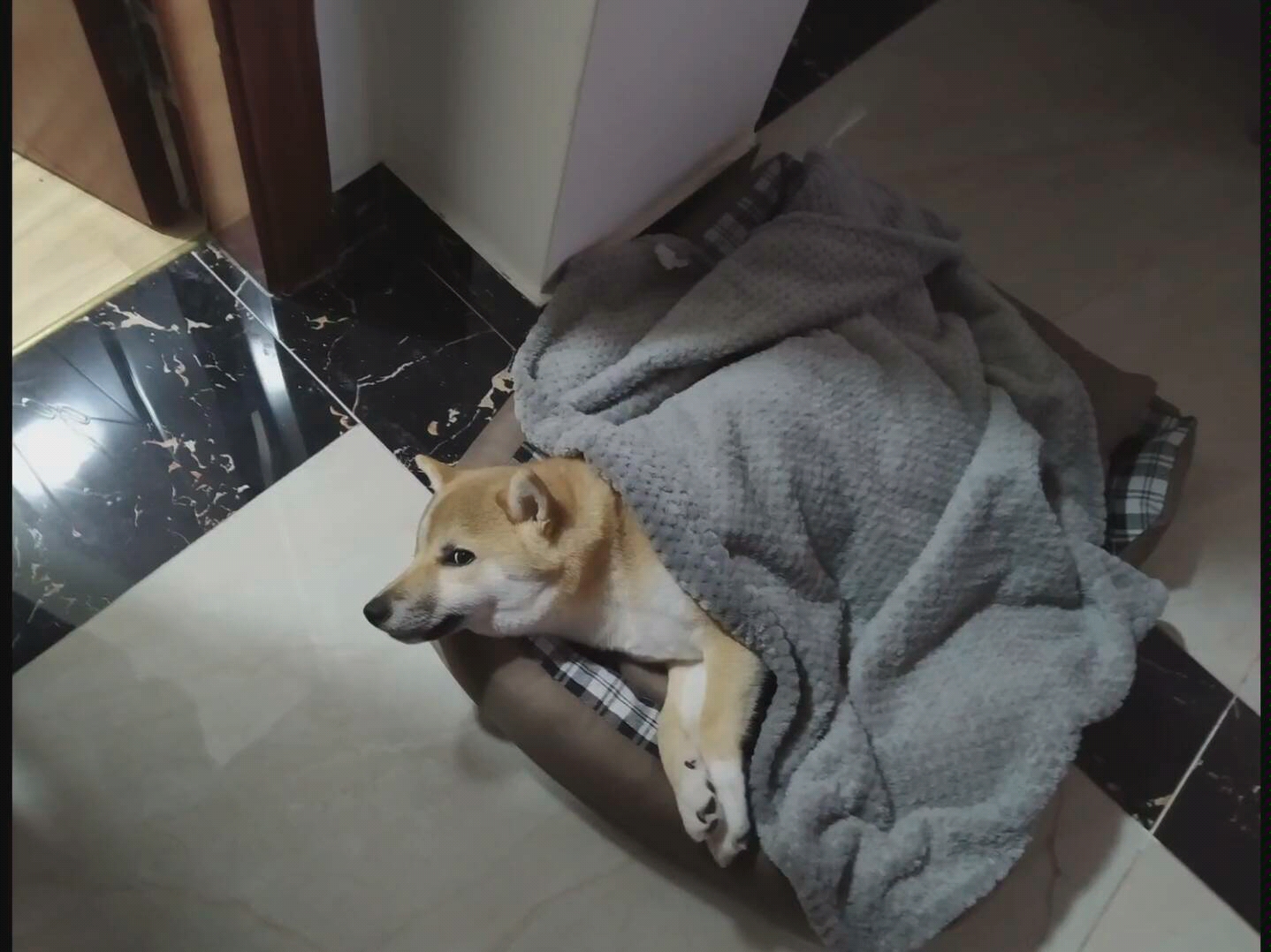 掀开被子前后反应.