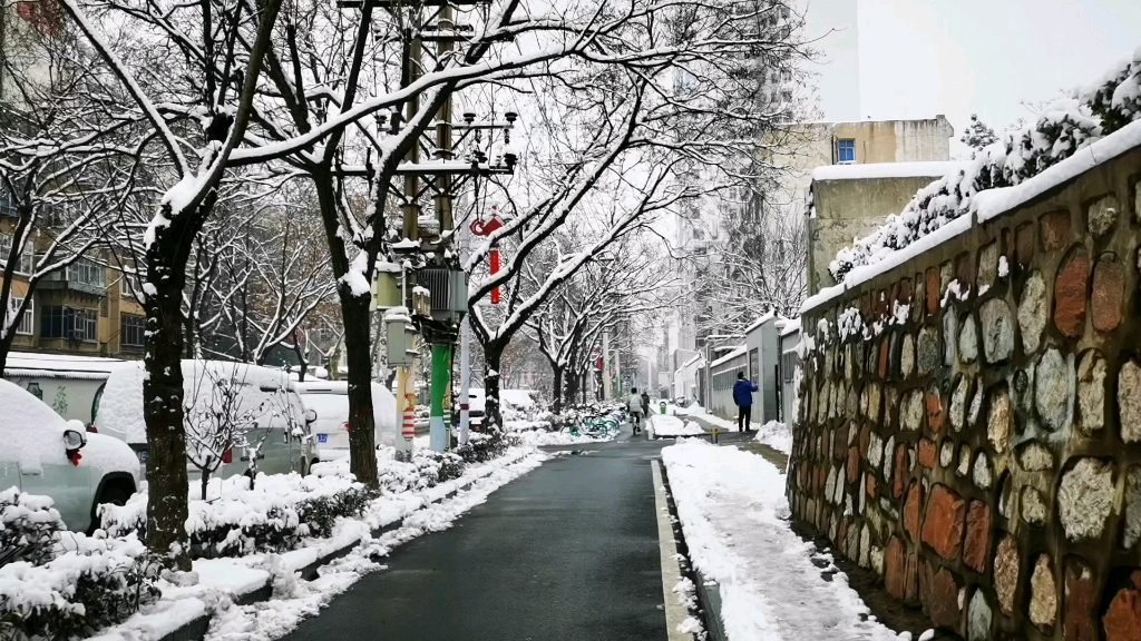 [图]金水河畔踏雪行