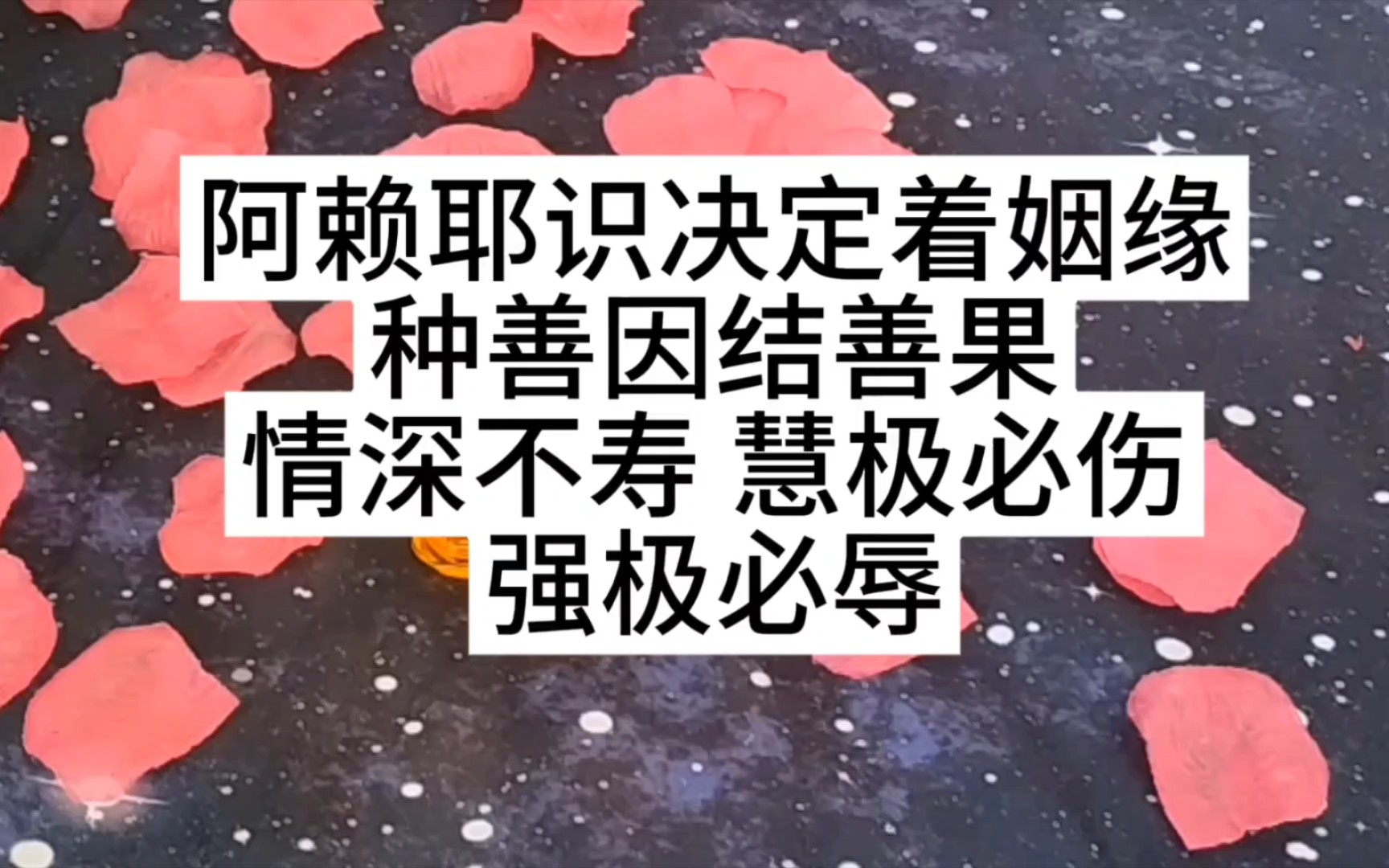 阿赖耶识决定着姻缘/种善因结善果/情深不寿 慧极必伤 强极必辱