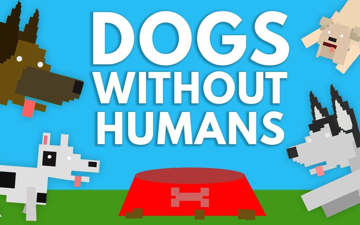 如果人类消失的话狗狗会怎样?【lifenoggin】