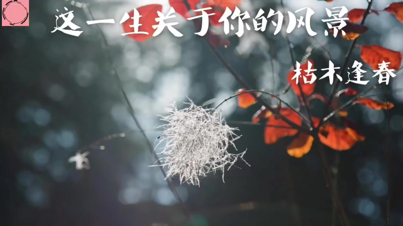 [图]枯木逢春《这一生关于你的风景》 ～我多想能多陪你一场 把前半生的风景对你讲