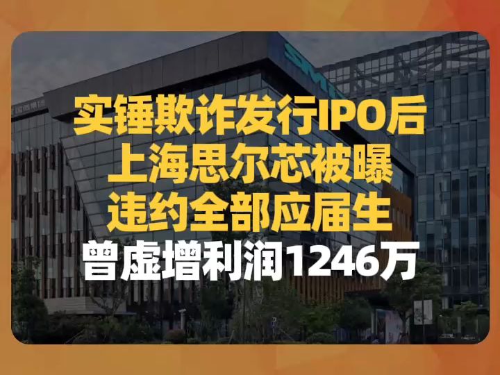 实锤欺诈发行IPO后,上海思尔芯被曝违约全部应届生,曾虚增利润1246万哔哩哔哩bilibili