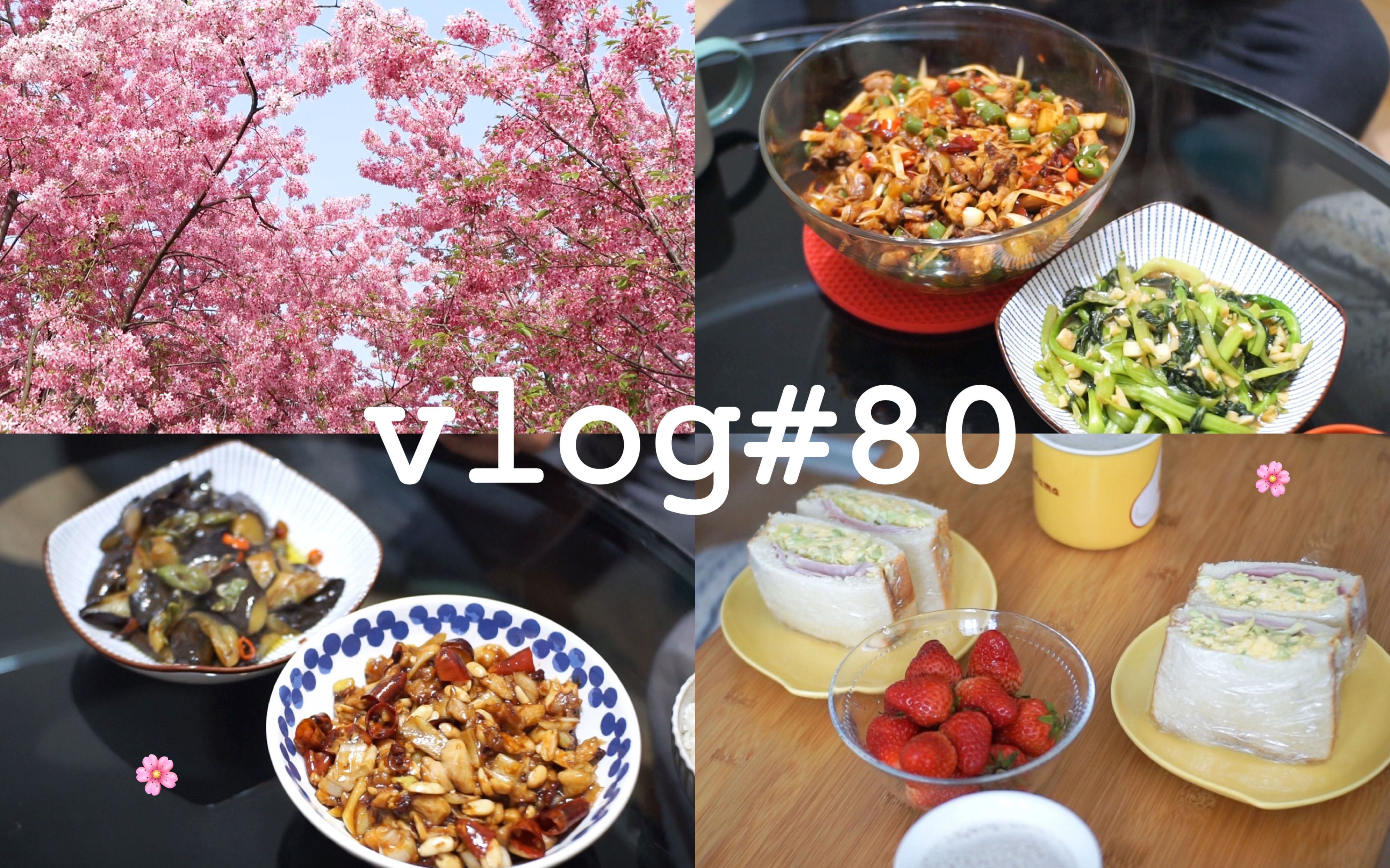 vlog#80 是粉色的春天啊